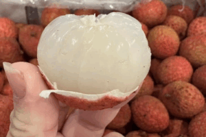 ベトナムビジネスのイメージ画像（オーストラリア産ライチのベトナム輸入動向と影響関連）。日本企業向けの最新情報を提供